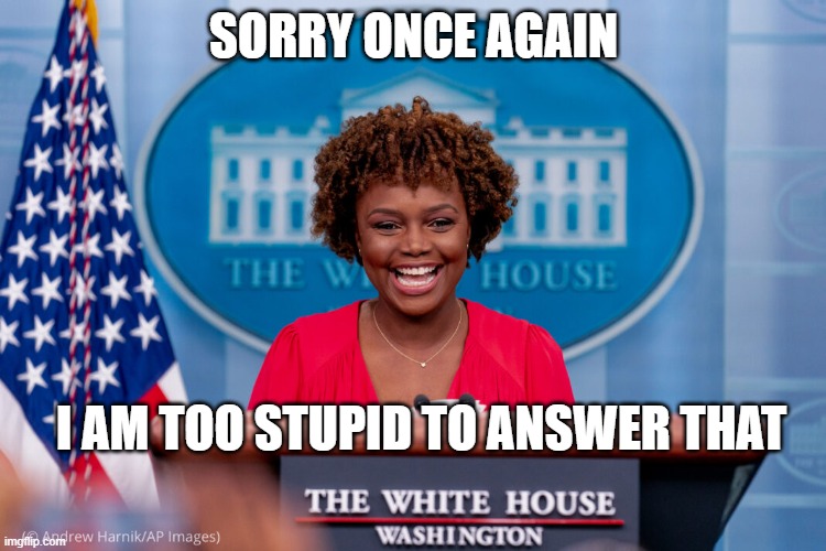 Press Sec from here! | SORRY ONCE AGAIN; I AM TOO STUPID TO ANSWER THAT | image tagged in press secretary,potus,fjb,incompetence,treason,media bias | made w/ Imgflip meme maker