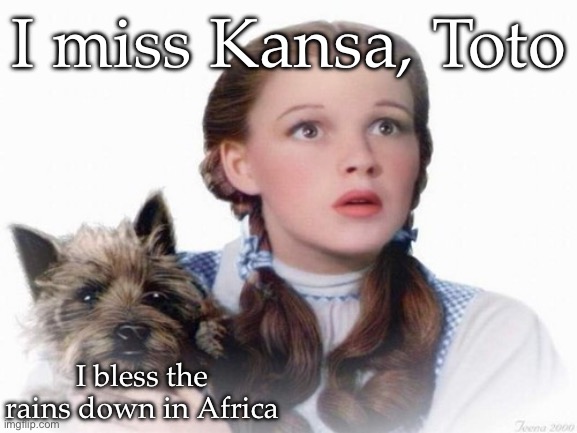 Missed and blessed | I miss Kansa, Toto; I bless the rains down in Africa | image tagged in dorothy and toto,africa | made w/ Imgflip meme maker