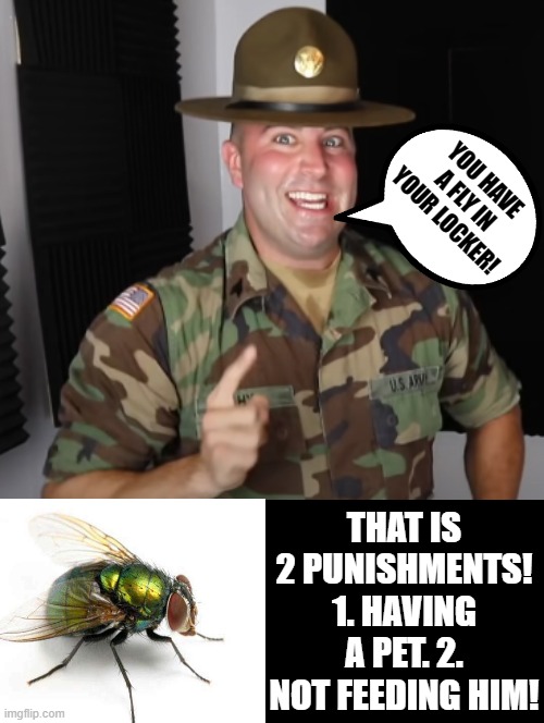 My pet fly! | YOU HAVE A FLY IN YOUR LOCKER! THAT IS 2 PUNISHMENTS! 1. HAVING A PET. 2. NOT FEEDING HIM! | image tagged in drill sergeant,fly | made w/ Imgflip meme maker