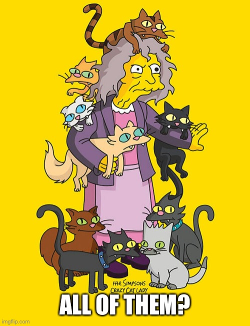 Crazy Cat Lady | ALL OF THEM? | image tagged in crazy cat lady | made w/ Imgflip meme maker