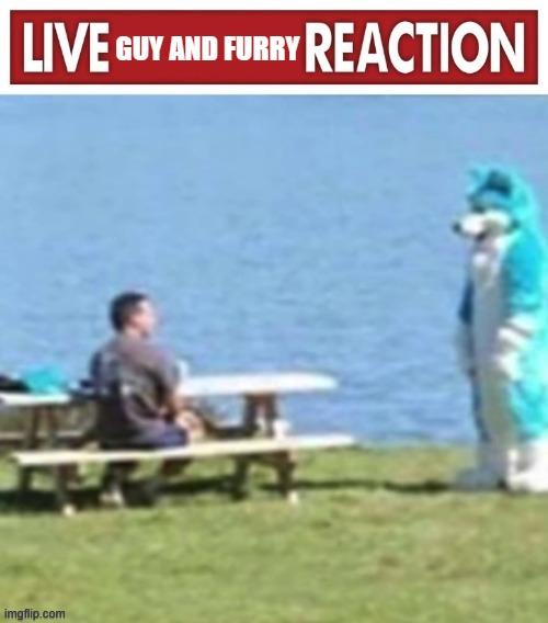 High Quality Live Guy and Furry Reaction: Blank Meme Template