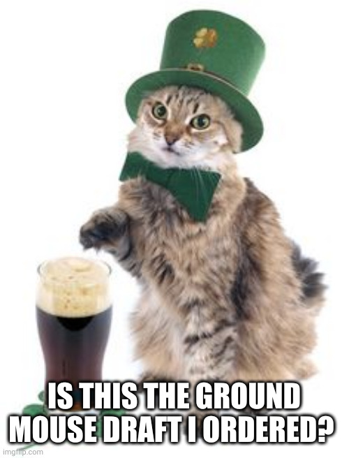 Checking my order on St. Patrick's Day | IS THIS THE GROUND MOUSE DRAFT I ORDERED? | image tagged in irish cat,memes,guiness,mouse,bar,saint patrick's day | made w/ Imgflip meme maker