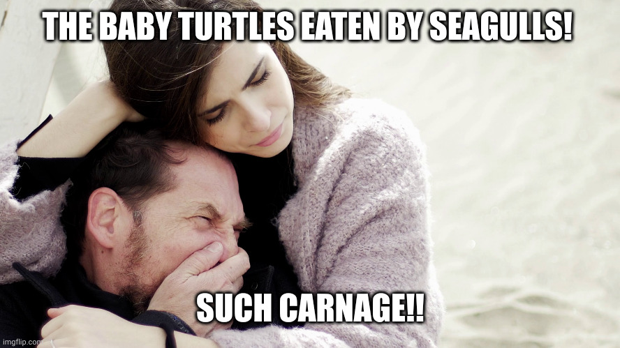 Nature Channel so savage | THE BABY TURTLES EATEN BY SEAGULLS! SUCH CARNAGE!! | image tagged in crying white guy,baby turtles,beach,screaming seagull,memes,nature | made w/ Imgflip meme maker