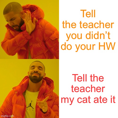 Drake Hotline Bling Meme | Tell the teacher you didn’t do your HW; Tell the teacher my cat ate it | image tagged in memes,drake hotline bling | made w/ Imgflip meme maker