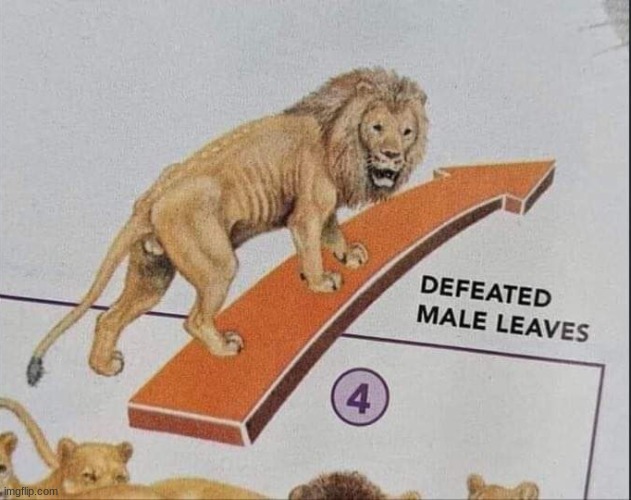 Defeated male leaves | image tagged in defeated male leaves | made w/ Imgflip meme maker