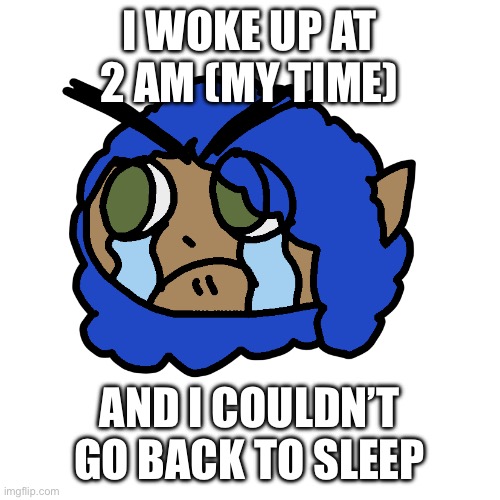 Explanation for why I'm up so early | I WOKE UP AT 2 AM (MY TIME); AND I COULDN’T GO BACK TO SLEEP | image tagged in angy sad rizu emoji by pearlfan23 | made w/ Imgflip meme maker