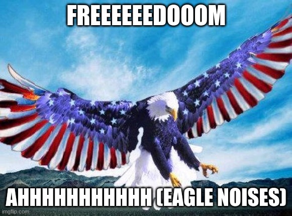 Freedom eagle | FREEEEEEDOOOM; AHHHHHHHHHHH (EAGLE NOISES) | image tagged in freedom eagle | made w/ Imgflip meme maker