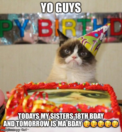 AM EXITED FOR MY BDAY TMRW :D | YO GUYS; TODAYS MY SISTERS 18TH BDAY AND TOMORROW IS MA BDAY 🥳🥳🥳🥳🥳 | image tagged in memes,grumpy cat birthday,grumpy cat | made w/ Imgflip meme maker
