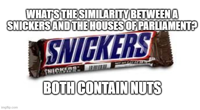 snickers | WHAT'S THE SIMILARITY BETWEEN A SNICKERS AND THE HOUSES OF PARLIAMENT? BOTH CONTAIN NUTS | image tagged in snickers | made w/ Imgflip meme maker