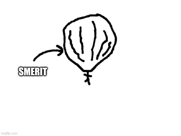 smerit :) | SMERIT | made w/ Imgflip meme maker