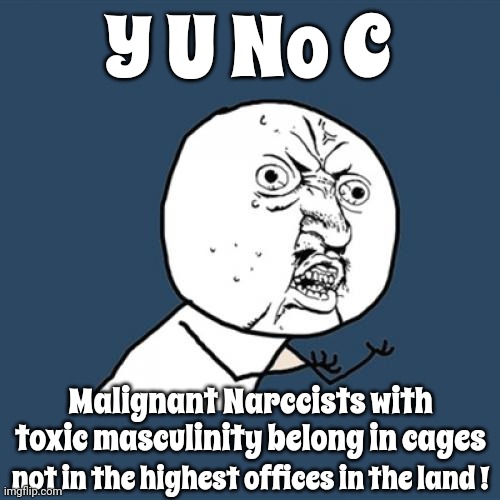 What's Wrong With You? | Y U No C; Malignant Narccists with toxic masculinity belong in cages; not in the highest offices in the land ! | image tagged in memes,y u no,trump unfit unqualified dangerous,toxic masculinity,malignant narcissist,lock him up | made w/ Imgflip meme maker