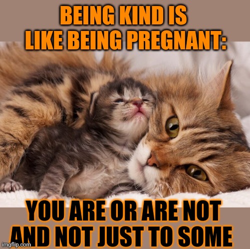 This #lolcat wonders why some hoo-mans only pretend to be kind | BEING KIND IS 
LIKE BEING PREGNANT:; YOU ARE OR ARE NOT
AND NOT JUST TO SOME | image tagged in fake,pretend,lolcat,think about it | made w/ Imgflip meme maker
