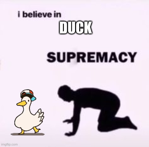 I believe in supremacy | DUCK | image tagged in i believe in supremacy | made w/ Imgflip meme maker