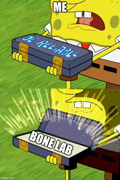 Ol' Reliable | ME; BONE LAB | image tagged in ol' reliable | made w/ Imgflip meme maker