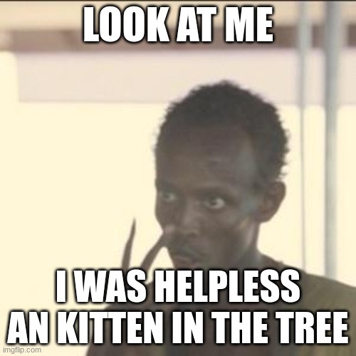 Look At Me | LOOK AT ME; I WAS HELPLESS AN KITTEN IN THE TREE | image tagged in memes,look at me | made w/ Imgflip meme maker
