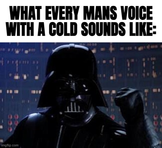 Darth Vader | WHAT EVERY MANS VOICE WITH A COLD SOUNDS LIKE: | image tagged in darth vader | made w/ Imgflip meme maker