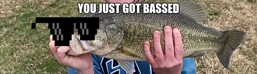 you got bassed | YOU JUST GOT BASSED | image tagged in bass,fishing,big chungus | made w/ Imgflip meme maker
