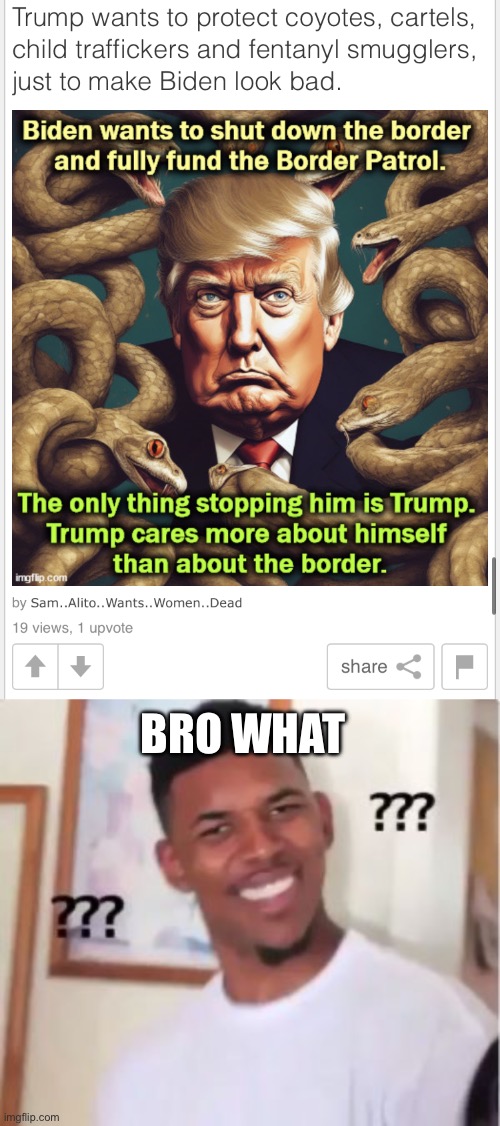 BRO WHAT | image tagged in nick young,donald trump,dumb people | made w/ Imgflip meme maker