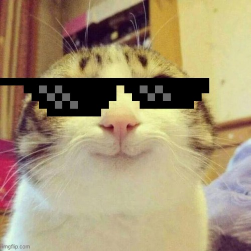 ?? | image tagged in memes,smiling cat | made w/ Imgflip meme maker