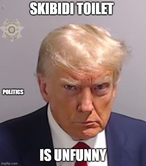 Donald Trump Mugshot | SKIBIDI TOILET; POLITICS; IS UNFUNNY | image tagged in donald trump mugshot | made w/ Imgflip meme maker