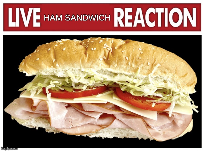 Live ham sandwich reaction | image tagged in live ham sandwich reaction | made w/ Imgflip meme maker