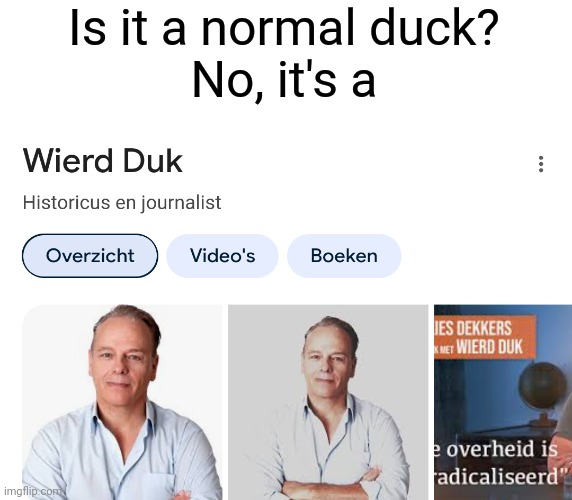 Is it a normal duck?
No, it's a | image tagged in dutch | made w/ Imgflip meme maker