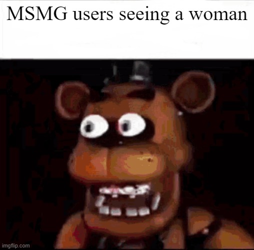 Shocked Freddy Fazbear | MSMG users seeing a woman | image tagged in shocked freddy fazbear | made w/ Imgflip meme maker