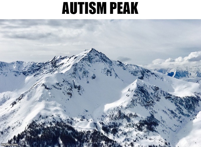 AUTISM PEAK | made w/ Imgflip meme maker