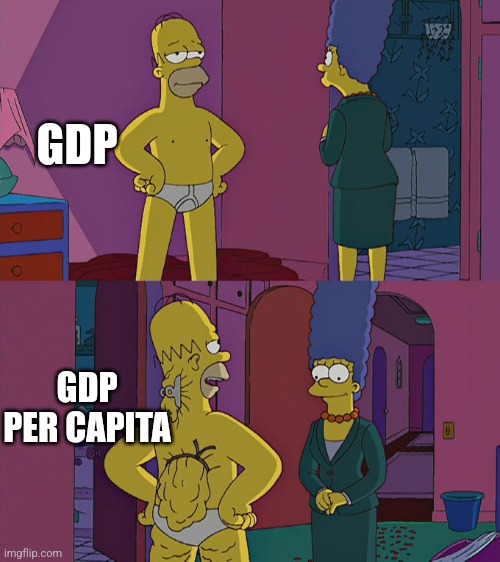 Homer Simpson's Back Fat | GDP; GDP PER CAPITA | image tagged in homer simpson's back fat | made w/ Imgflip meme maker