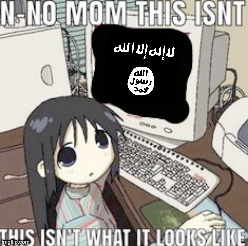 almost every teen boy | image tagged in n no mom this isnt this isnt what it looks like | made w/ Imgflip meme maker