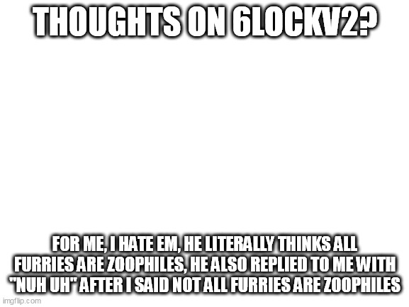 Blank White Template | THOUGHTS ON 6LOCKV2? FOR ME, I HATE EM, HE LITERALLY THINKS ALL FURRIES ARE ZOOPHILES, HE ALSO REPLIED TO ME WITH "NUH UH" AFTER I SAID NOT ALL FURRIES ARE ZOOPHILES | image tagged in blank white template | made w/ Imgflip meme maker