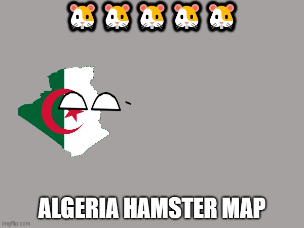 algeria hamster map | 🐹🐹🐹🐹🐹; ALGERIA HAMSTER MAP | image tagged in gifs | made w/ Imgflip meme maker