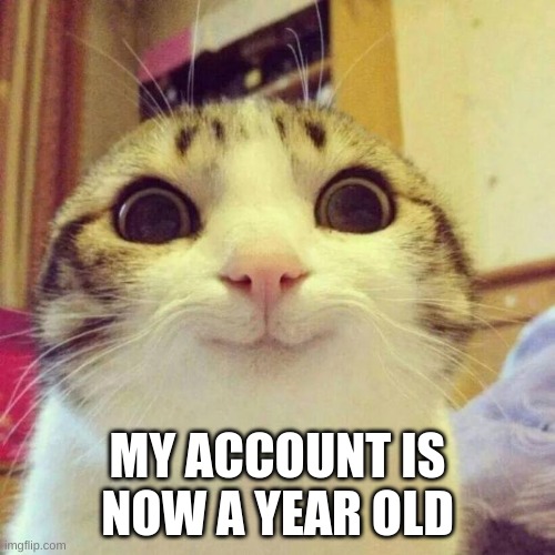 I can feel my body aging | MY ACCOUNT IS NOW A YEAR OLD | image tagged in memes,smiling cat | made w/ Imgflip meme maker