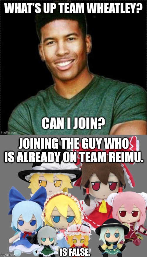 JOINING THE GUY WHO IS ALREADY ON TEAM REIMU. IS FALSE. | image tagged in the fumo council | made w/ Imgflip meme maker