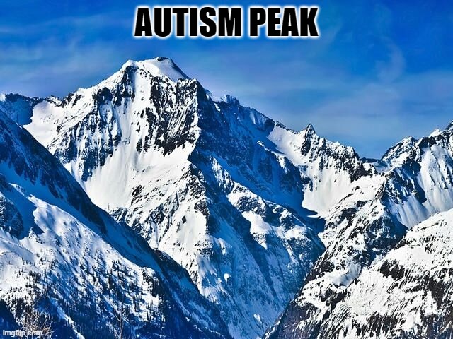 Daily dose of cring | AUTISM PEAK | image tagged in mountain | made w/ Imgflip meme maker