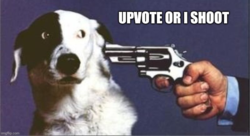 Dog Gun | UPVOTE OR I SHOOT | image tagged in dog gun | made w/ Imgflip meme maker