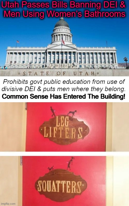 Common Sense Makes a Comeback! | Utah Passes Bills Banning DEI & 
Men Using Women’s Bathrooms; Prohibits govt public education from use of 
divisive DEI & puts men where they belong. Common Sense Has Entered The Building! | image tagged in political humor,common sense,vs common core,men and women,know the difference,diversity equity inclusion | made w/ Imgflip meme maker