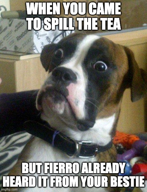 Blankie the Shocked Dog | WHEN YOU CAME TO SPILL THE TEA; BUT FIERRO ALREADY HEARD IT FROM YOUR BESTIE | image tagged in blankie the shocked dog | made w/ Imgflip meme maker