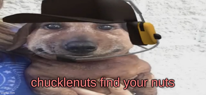 give them to him, he won't do anything :) | chucklenuts find your nuts | image tagged in chucklenuts | made w/ Imgflip meme maker