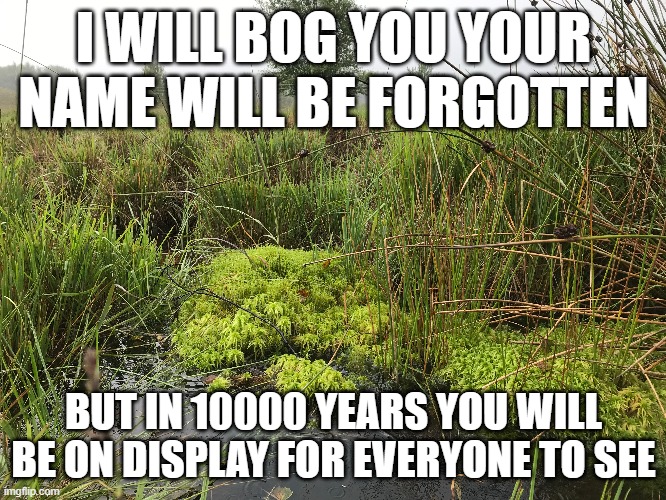 Bog | I WILL BOG YOU YOUR NAME WILL BE FORGOTTEN; BUT IN 10000 YEARS YOU WILL BE ON DISPLAY FOR EVERYONE TO SEE | image tagged in fun | made w/ Imgflip meme maker