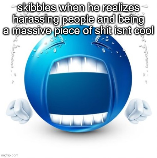 Crying Blue guy | skibbles when he realizes harassing people and being a massive piece of shit isnt cool | image tagged in crying blue guy | made w/ Imgflip meme maker