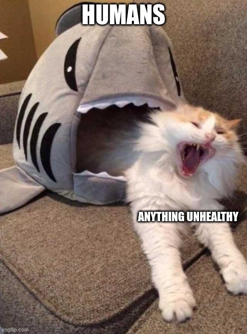 i mean its not wrong | HUMANS; ANYTHING UNHEALTHY | image tagged in shark eating cat | made w/ Imgflip meme maker