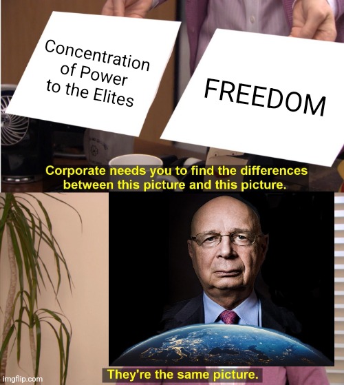 WEF don't get it | Concentration of Power to the Elites; FREEDOM | image tagged in memes,they're the same picture | made w/ Imgflip meme maker