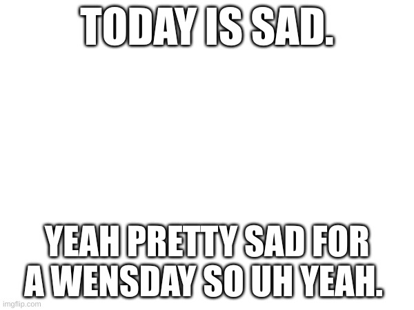 TODAY IS SAD. YEAH PRETTY SAD FOR A WENSDAY SO UH YEAH. | image tagged in loonietoonie | made w/ Imgflip meme maker