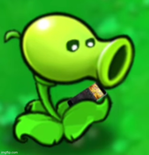 Peashooter looking at his phone | image tagged in peashooter looking at his phone | made w/ Imgflip meme maker