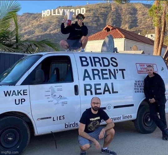 Birds aren’t REAL! | made w/ Imgflip meme maker