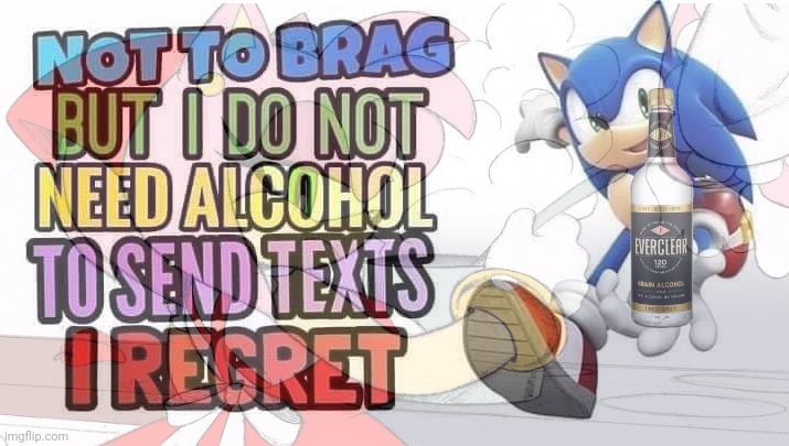 Life lessons with Sonic | image tagged in sonic the hedgehog,everclear,go home youre drunk,life lessons | made w/ Imgflip meme maker