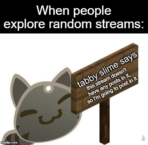 read the desc | When people explore random streams:; this stream doesn't have any posts in it, so I'm going to post in it; also, can I have mod? | image tagged in tabby slime says,streams | made w/ Imgflip meme maker