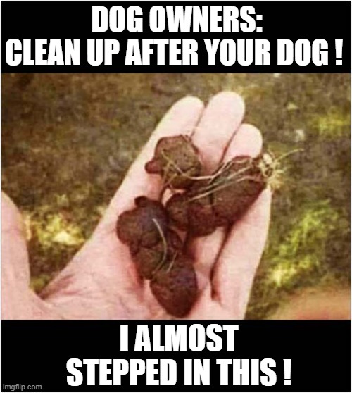 What Is Wrong With Some People ? | DOG OWNERS:  
CLEAN UP AFTER YOUR DOG ! I ALMOST STEPPED IN THIS ! | image tagged in people,dog poop,dark humour | made w/ Imgflip meme maker