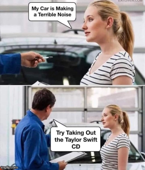 the mods at the taylor swift subreddit disapproved this cuz they can't take their queen getting made fun of | made w/ Imgflip meme maker